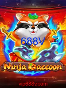 NinjaRaccoon